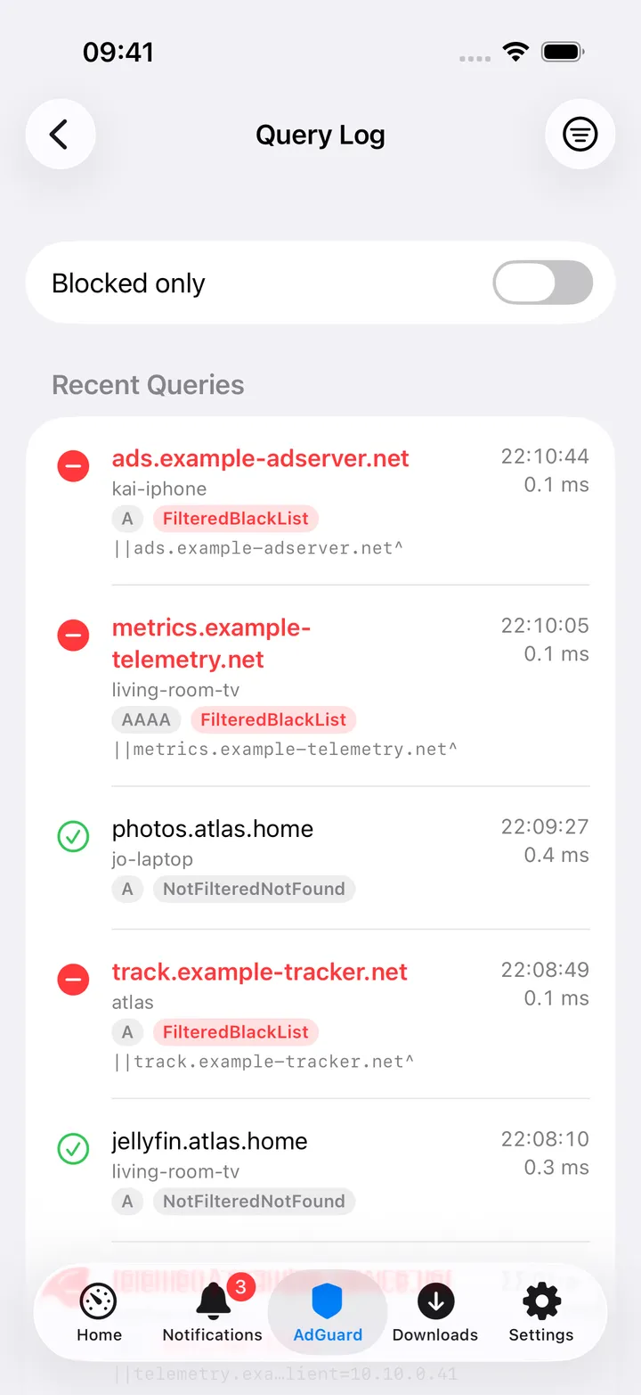Query Log with the Blocked only filter on.