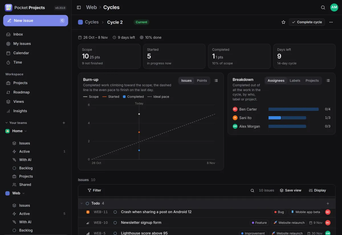 The current two-week cycle: scope, started and completed counters, a burn-up chart and a breakdown by person