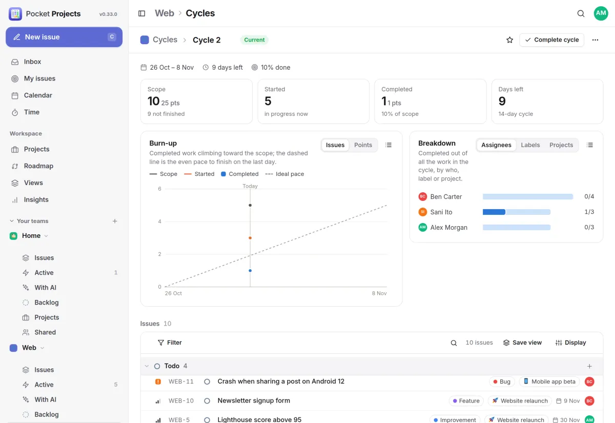 The current two-week cycle: scope, started and completed counters, a burn-up chart and a breakdown by person