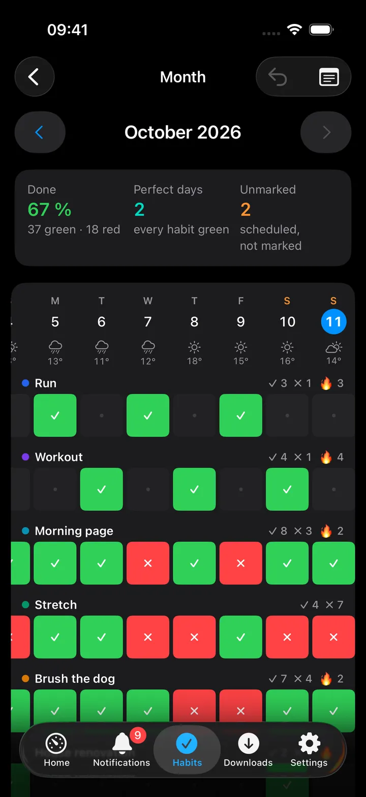 The month page on the iPhone: a week across the card with the weather, then Run, Workout, Morning page and Stretch, each name above its row of green and red cells with done, missed and streak counts