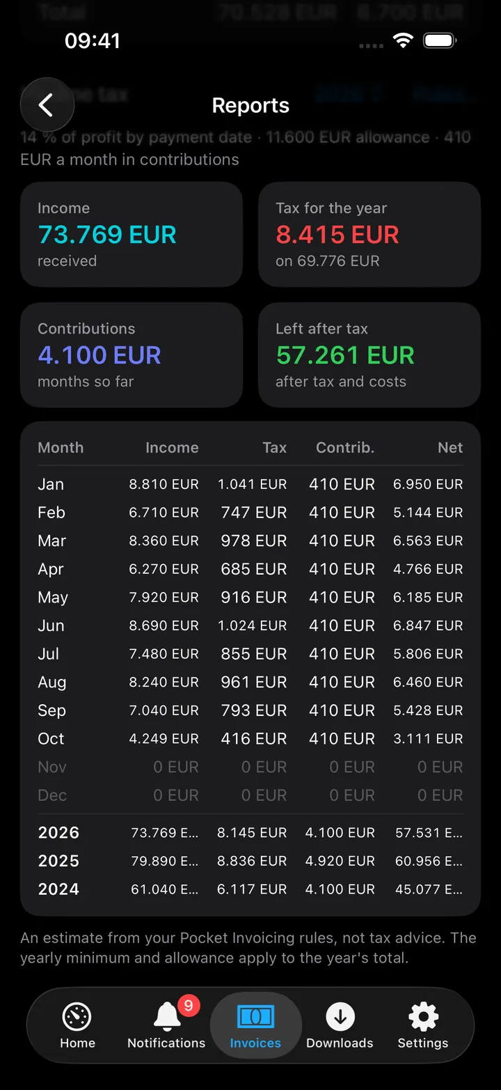 Income tax for the year: income, tax for the year, contributions and what is left after tax, then a table month by month and per year