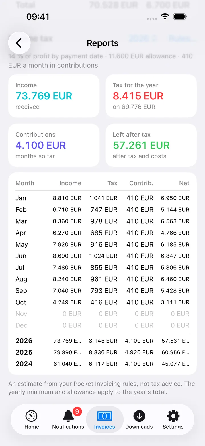 Income tax for the year: income, tax for the year, contributions and what is left after tax, then a table month by month and per year