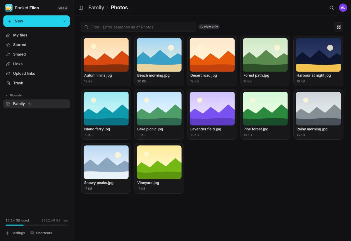 A mounted Family folder marked view only, showing a grid of holiday photo thumbnails