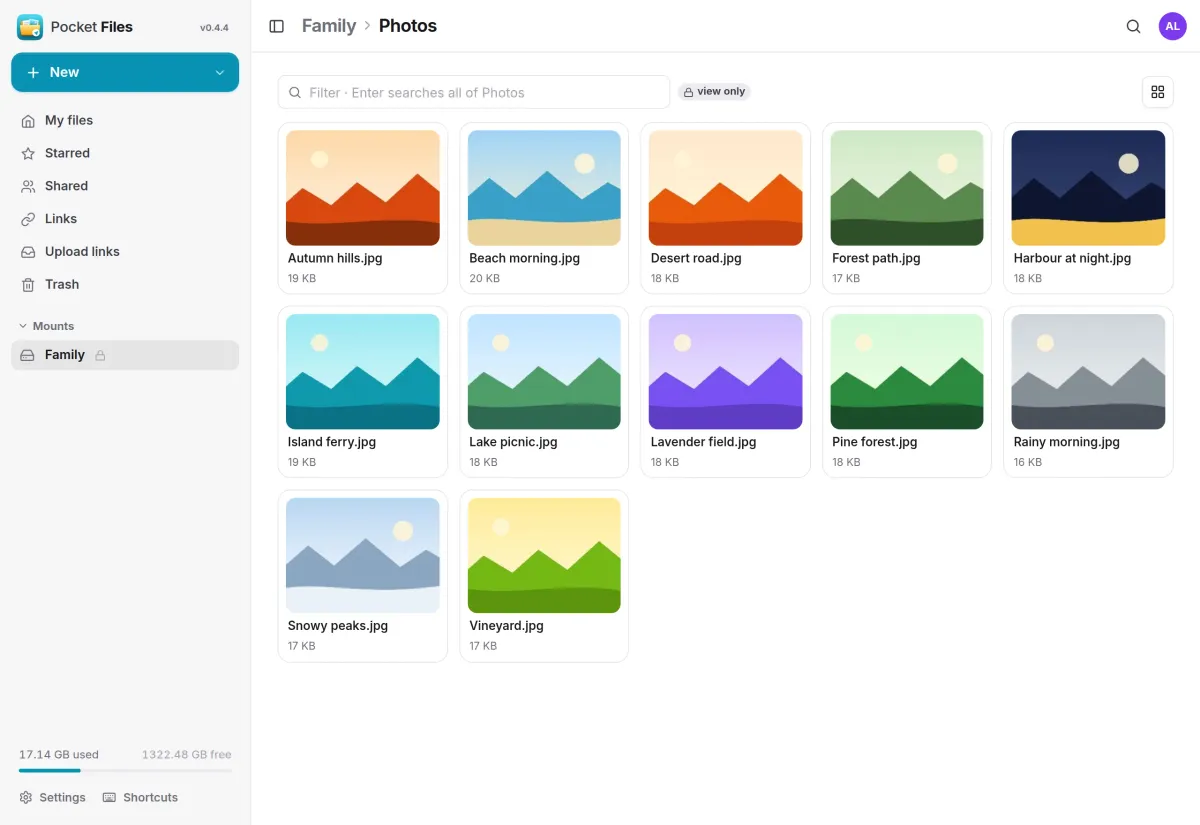 A mounted Family folder marked view only, showing a grid of holiday photo thumbnails