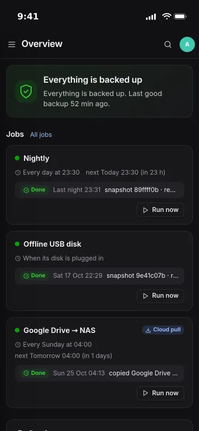 Pocket Backups on an iPhone: everything is backed up, with the nightly, USB disk and Google Drive jobs below