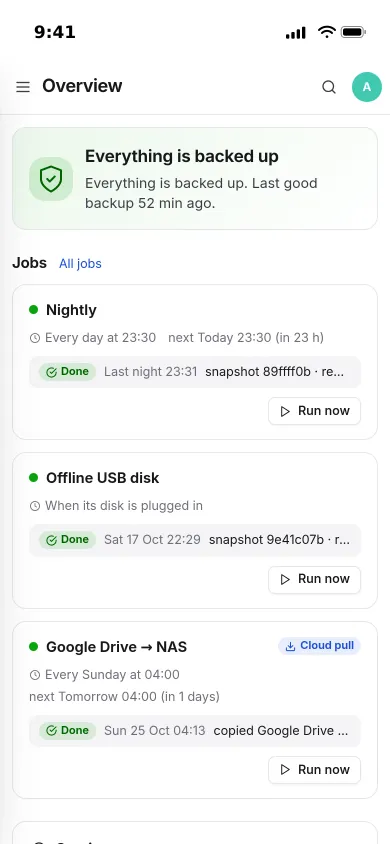 Pocket Backups on an iPhone: everything is backed up, with the nightly, USB disk and Google Drive jobs below