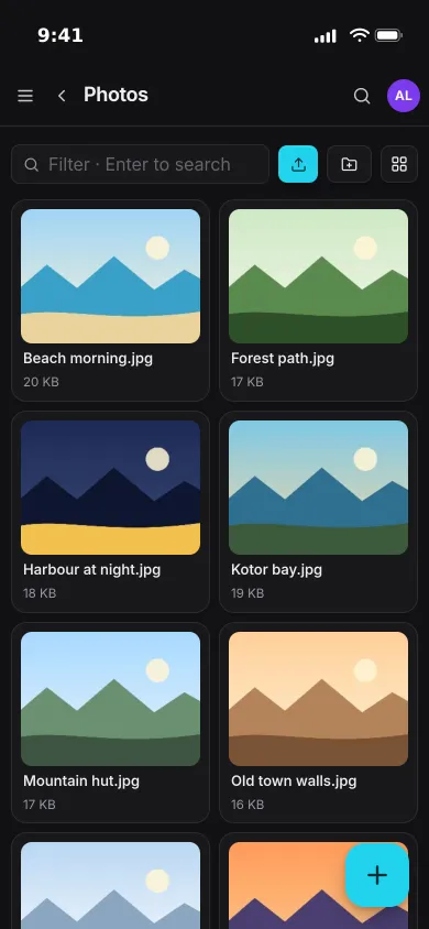 Pocket Files on an iPhone: a Photos folder in grid view with image thumbnails