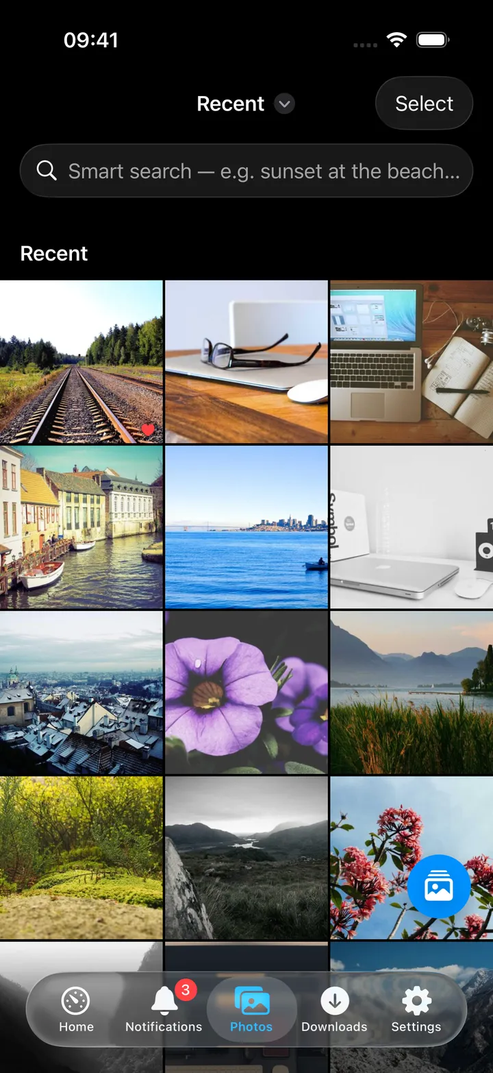 Immich photo grid with albums and people