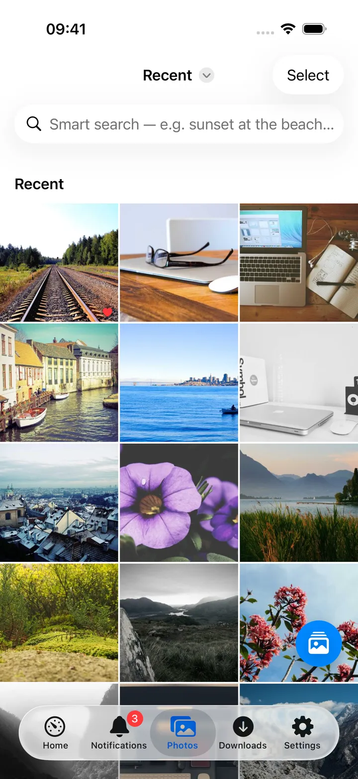 Immich photo grid with albums and people