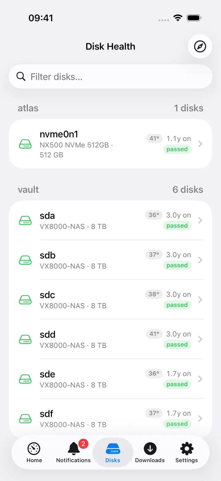 Disk Health screen, grouped by host, with temperature and age tags.
