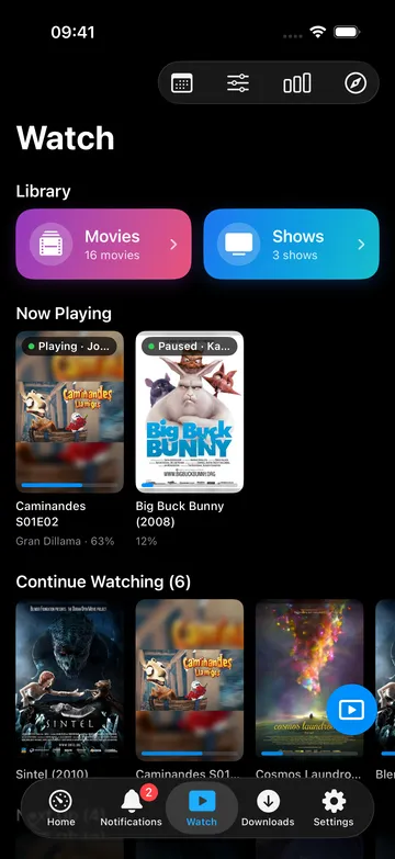 Watch screen with continue watching shelves